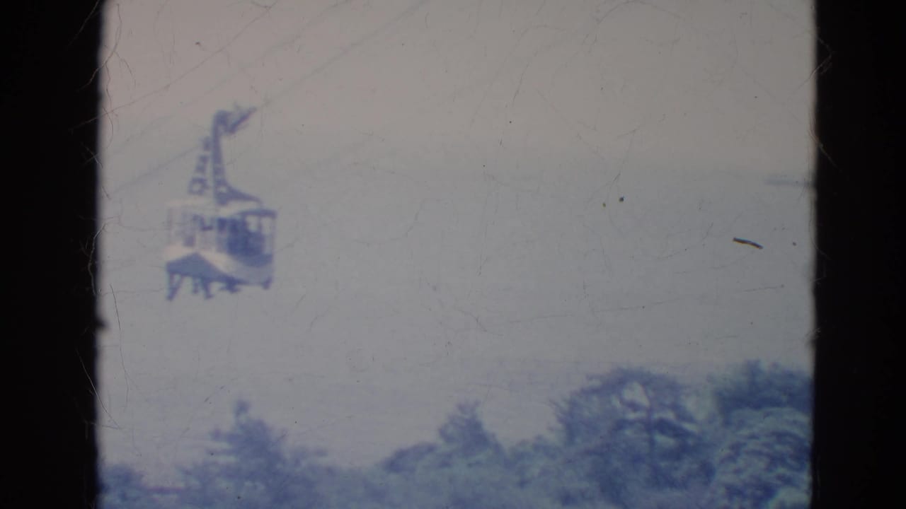 Small skytram cabin suspended on a cable above a dark tree line and pale sky.