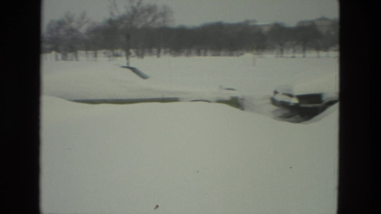 Snow-covered open lawn with leafless trees and parked cars partly buried along the road.