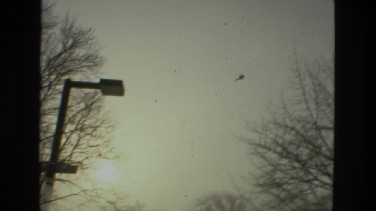 Street lamp and bare trees under a pale winter sky with a small helicopter overhead.