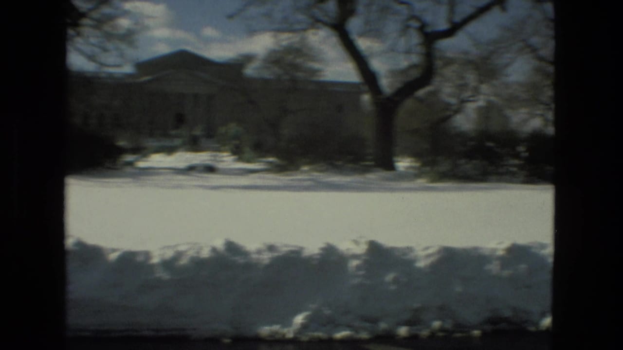 Snowy lawn and bare trees with a large building partly visible in the background.