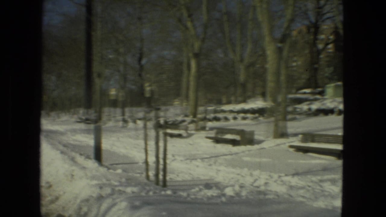 Snowy park path or roadside with benches, bare trees, and heavy snow along the curb.