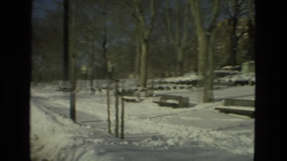 Drexel Hill winter roadside scene with deep snow, bare trees, park benches, and a cleared path or street edge visible from a moving vehicle.