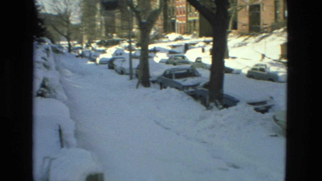 Snow-covered residential street seen through a dark window frame, with parked cars, bare trees, and brick buildings.