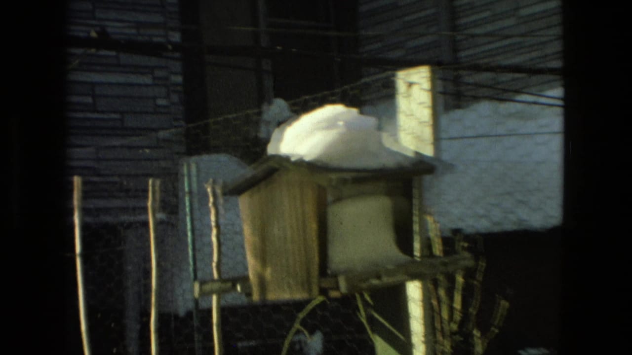 Small wooden bird feeder with snow on top near a fence and house siding.