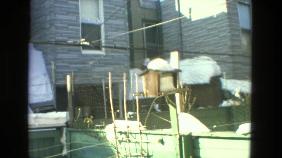 1978 Drexel Hill residential yard view showing a wooden bird feeder, fences, utility lines, and snow across roofs and ground.