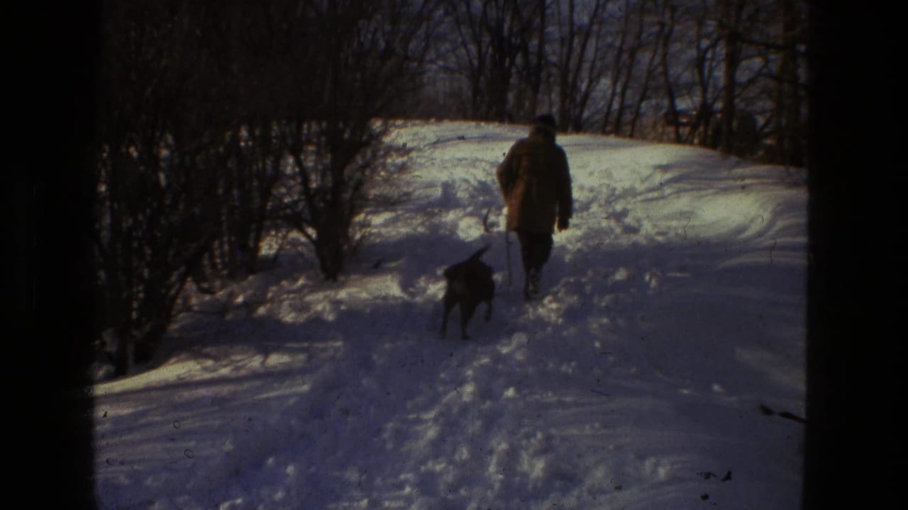 Bundled adult walking a dark dog along a snowy wooded path.