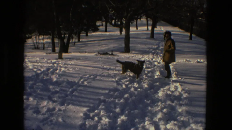 In a snowy Drexel Hill park, the bundled adult and dark dog stand among bare trees and long winter shadows.