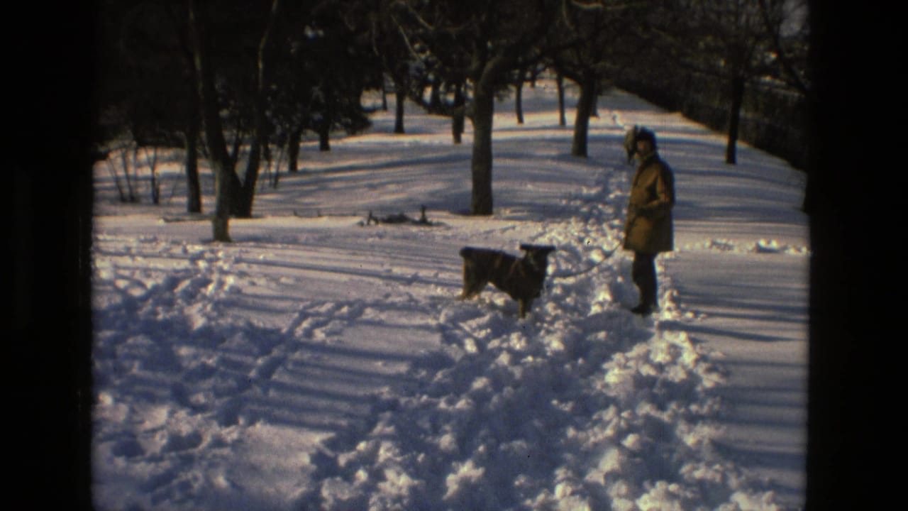 In Drexel Hill, Pennsylvania home-movie footage from 1978, a man in winter clothing stands with a dog on a leash in deep snow.