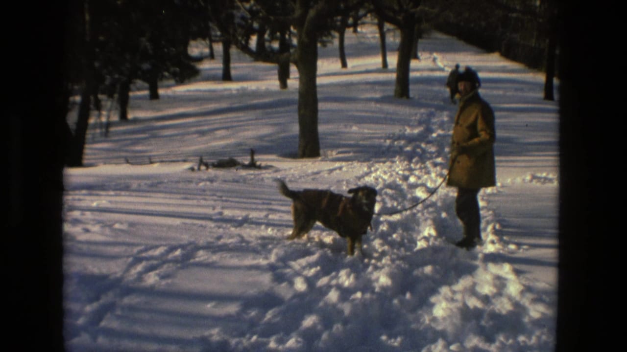 The leashed dog moves across a snowy Drexel Hill park as the man in a tan coat holds the lead nearby.