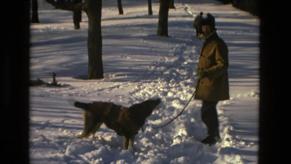 A dog wearing a brown sweater appears to bark or look upward as a man in a tan coat holds the leash in the snowy park.