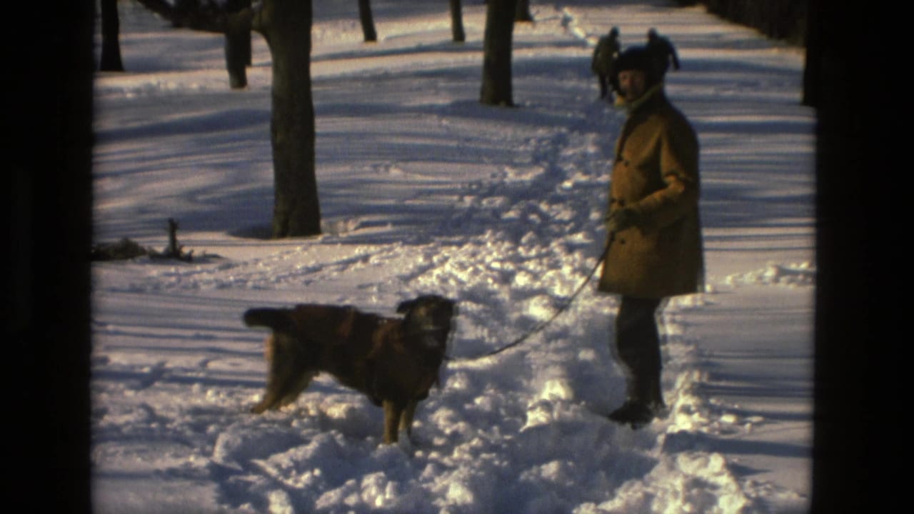 Bundled adult holds a leash as a dog stands in a snowy park with bare trees.