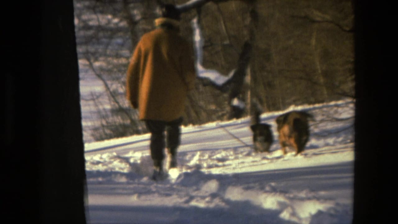 Drexel Hill 1978 home-movie frame showing a person in a mustard coat walking two dogs through snowy woods.