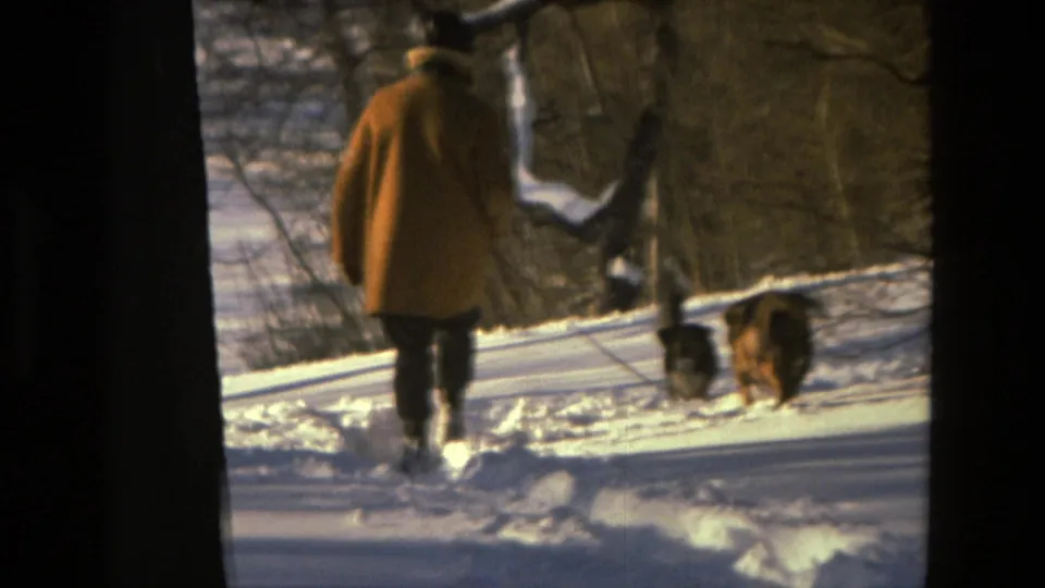 Drexel Hill 1978 home-movie frame showing a person in a mustard coat walking two dogs through snowy woods.