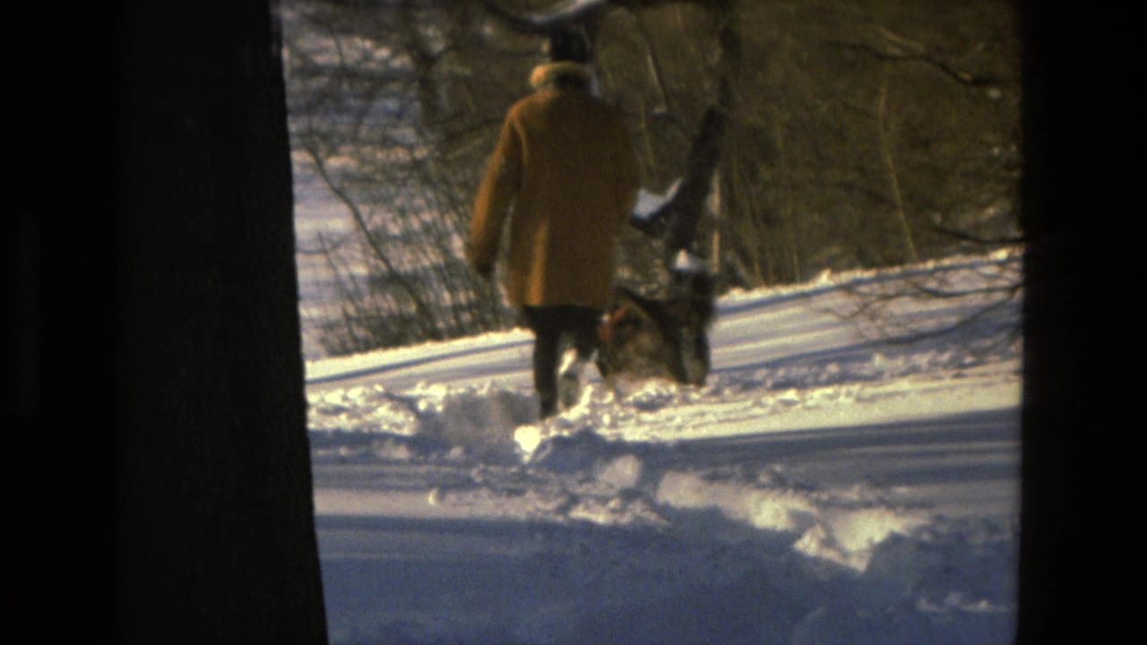 A 1978 Drexel Hill winter frame shows a distant walker and dogs crossing bright snow in a wooded area.