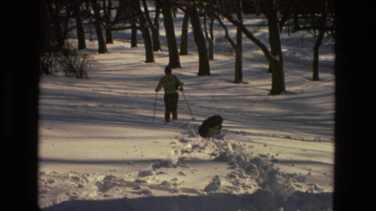 A skier heads across a snowy wooded area as a dark dog noses into the snow nearby.