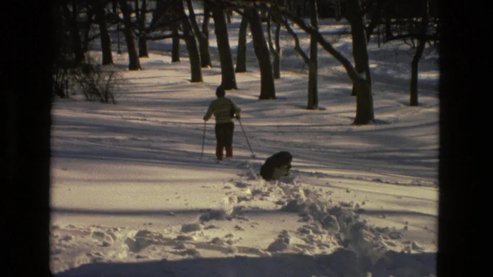 A distant skier in Drexel Hill snow moves between bare trees while a dark dog sniffs or digs beside a broken trail.