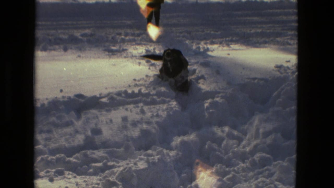 1978 Drexel Hill 8mm frame showing a small dark dog moving through deep snow as a bundled adult stands behind it.