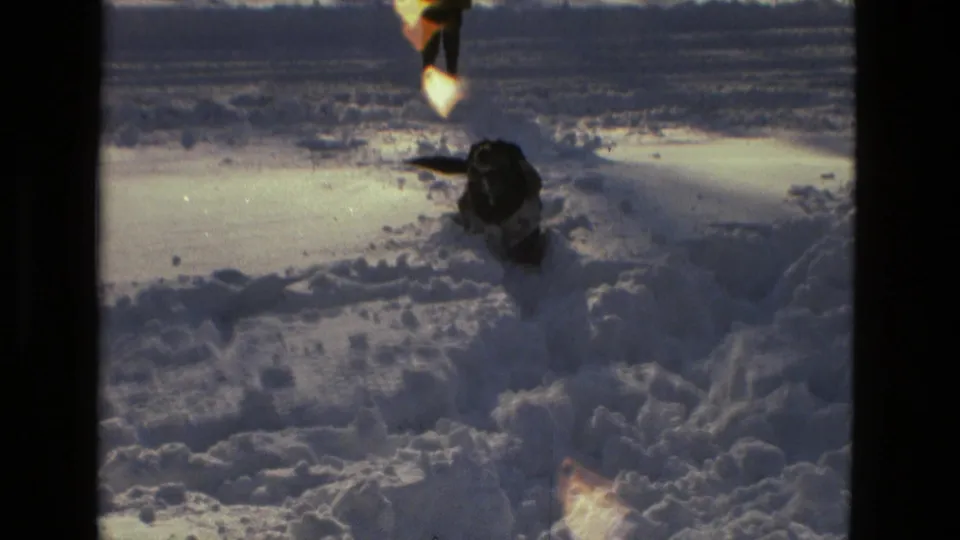 1978 Drexel Hill 8mm frame showing a small dark dog moving through deep snow as a bundled adult stands behind it.