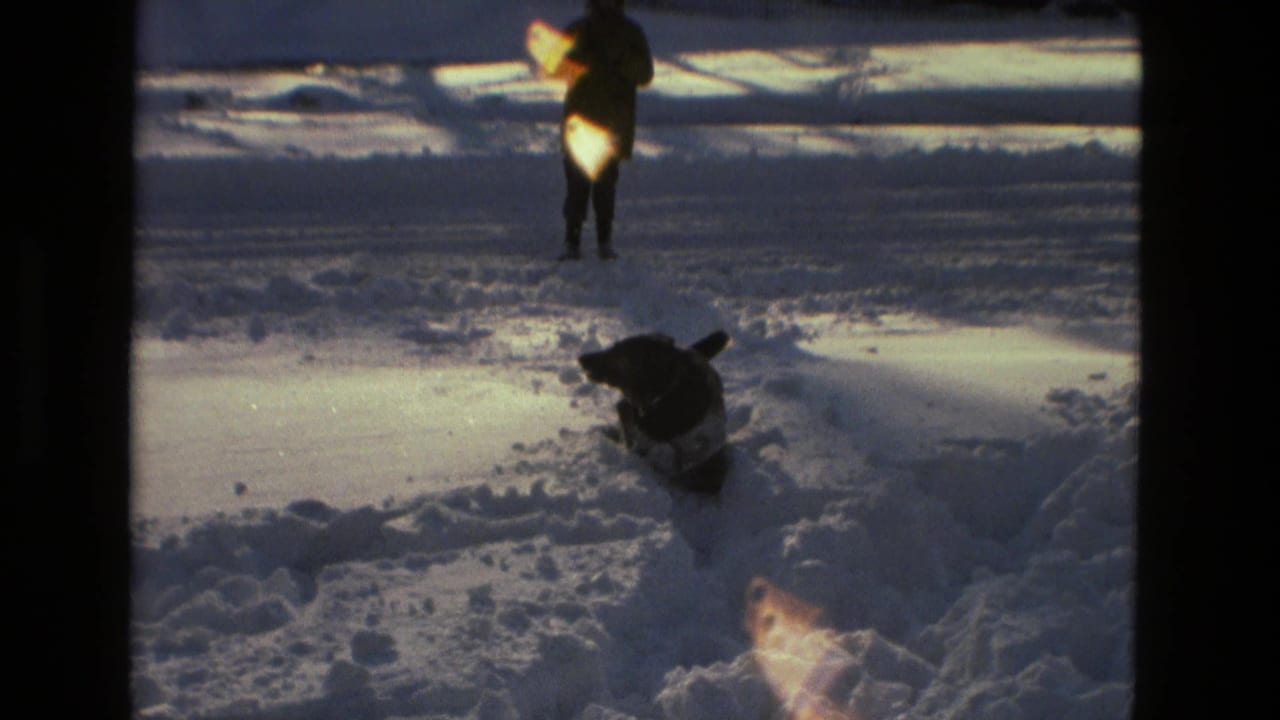 1978 Drexel Hill home-movie frame of a dog in snowy ground, with a distant bundled adult and bright sun flare.