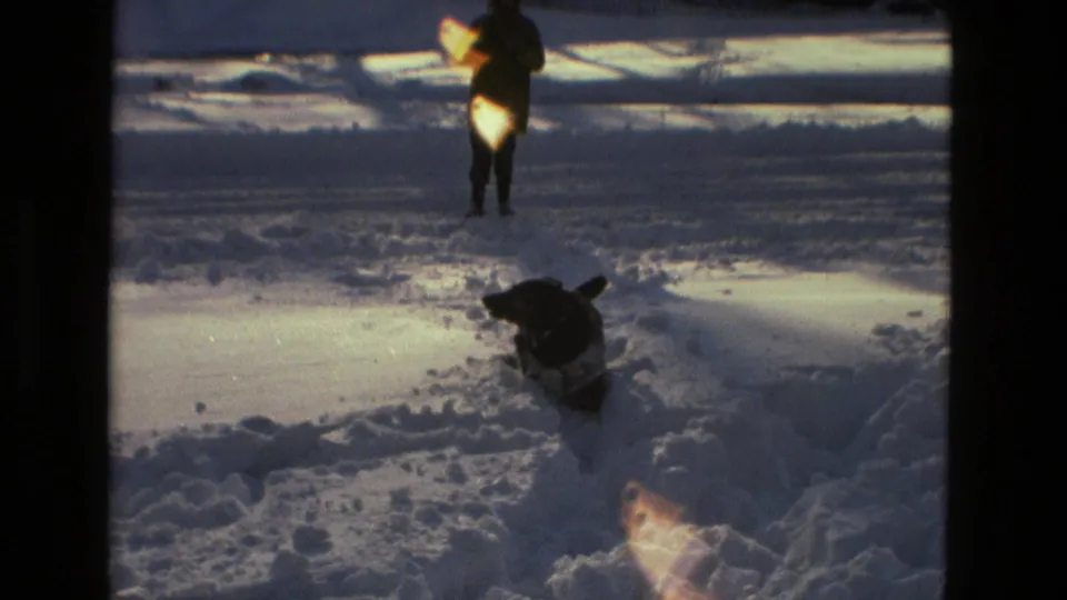 1978 Drexel Hill home-movie frame of a dog in snowy ground, with a distant bundled adult and bright sun flare.
