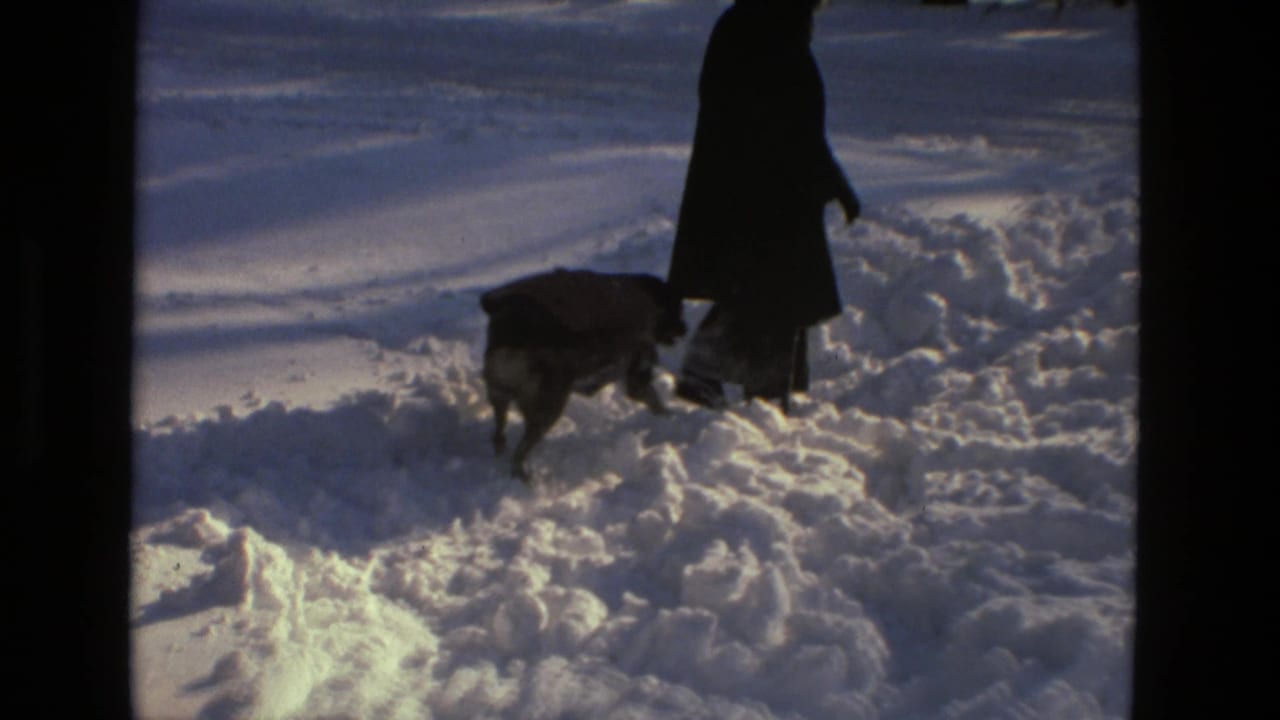 In 1978 Drexel Hill home-movie footage, a dark-coated person walks through deep snow while a dog moves alongside.