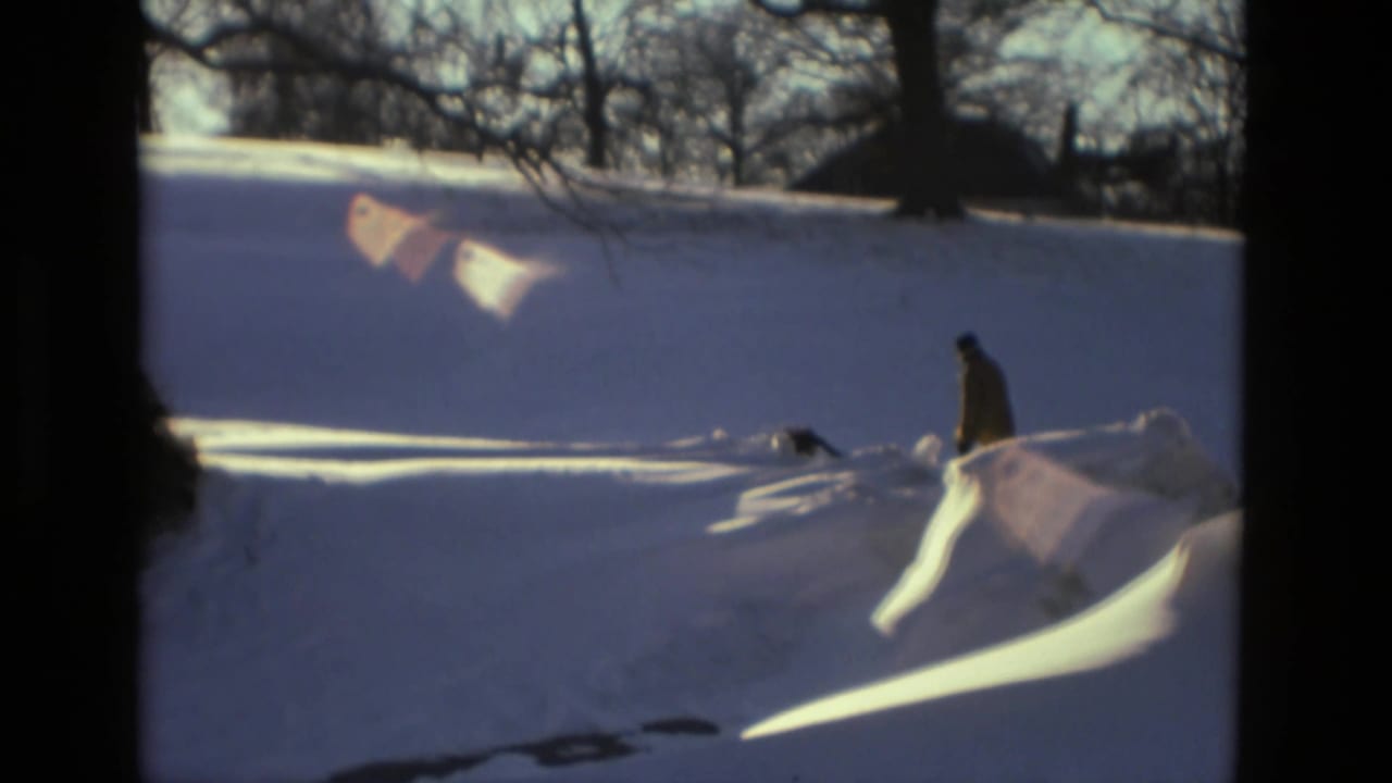 A person and dog move across a snowy yard with bare trees in the background.