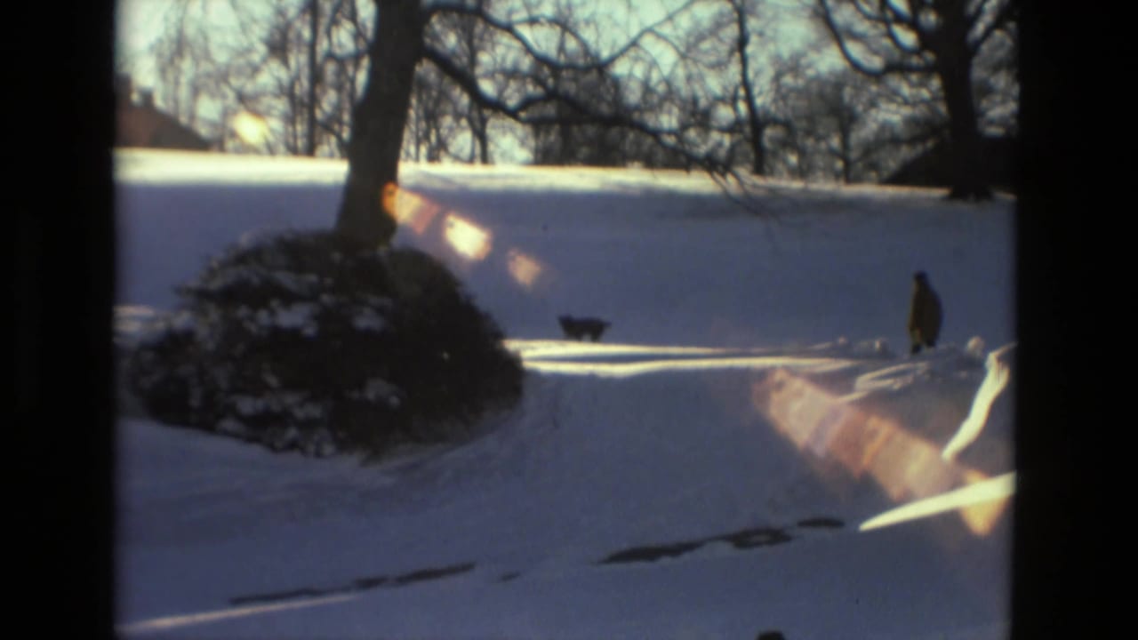 A distant person walks through snow near a dog and bare winter trees.