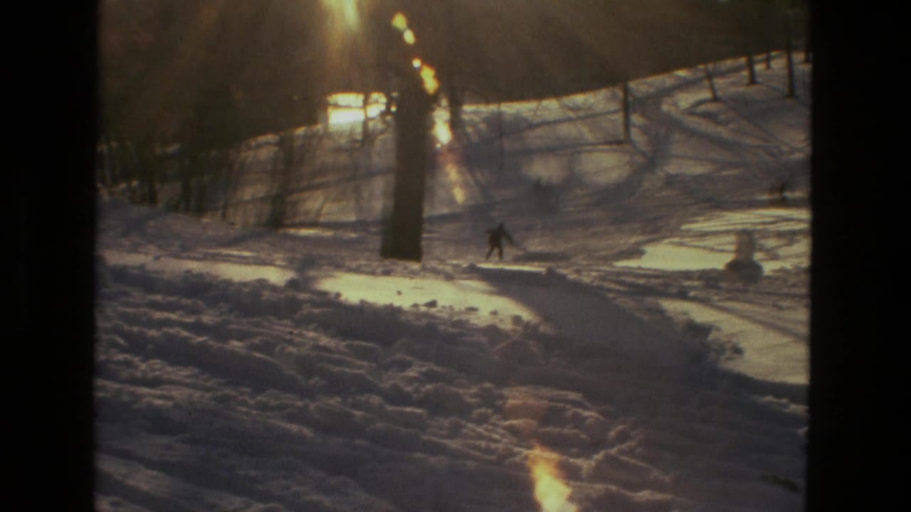 Snowy hill with bare trees, long shadows, and a distant person crossing the slope.