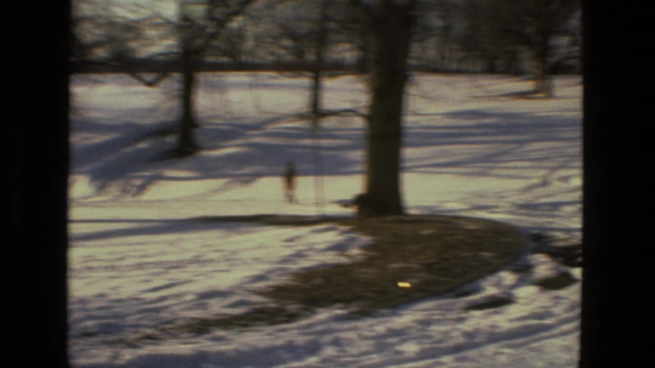 Snowy park seen through dark window framing with bare trees and long winter shadows.