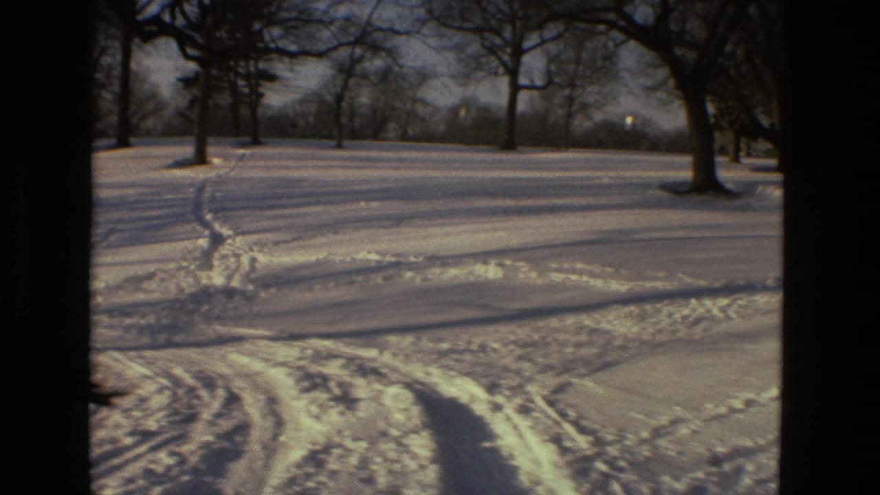 Snowy open park with tree trunks, footprints, and paths crossing the snow.