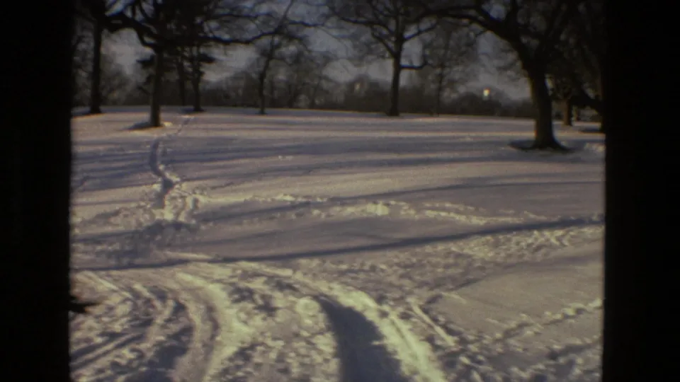 Snow-covered Drexel Hill parkland with bare trees, tracks, and intersecting footpaths visible in winter light.