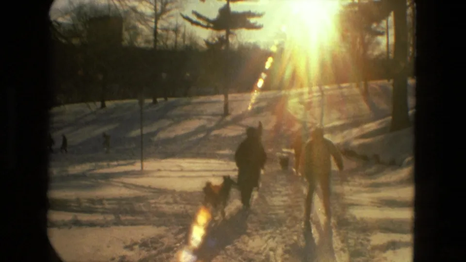 Several people and a dog walk through a snowy Drexel Hill park, backlit by low winter sun and film flare.