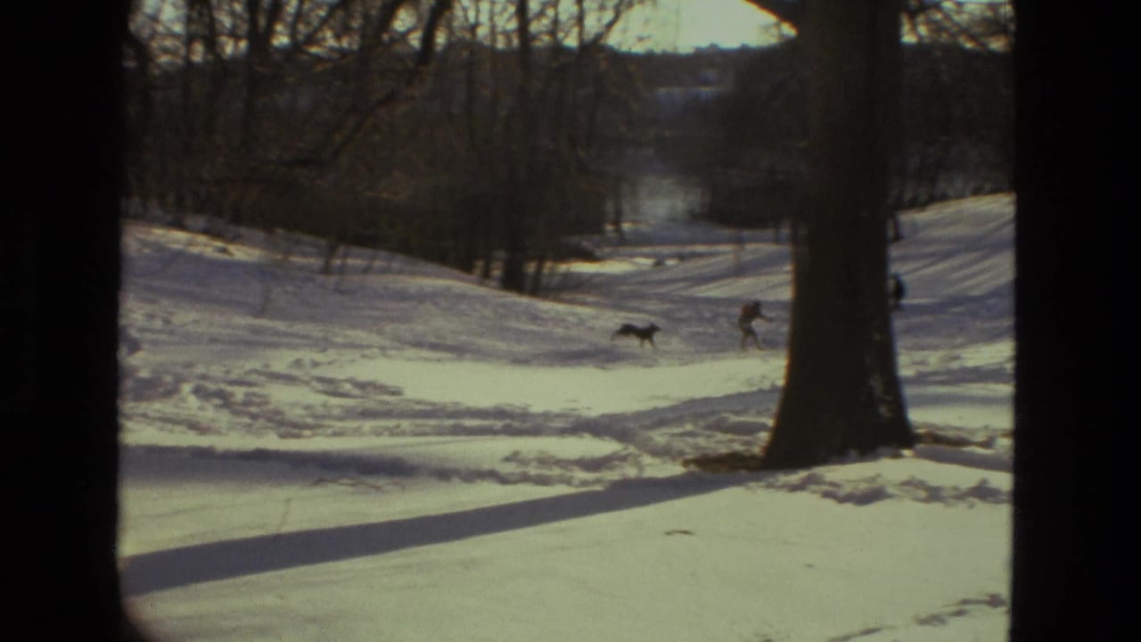 Snow-covered park slope with bare trees, distant bundled figures, and a dog crossing the snow.