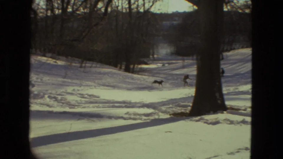 1978 Drexel Hill home-movie frame showing a snowy park slope, bare trees, distant people, and a dog moving across the snow.