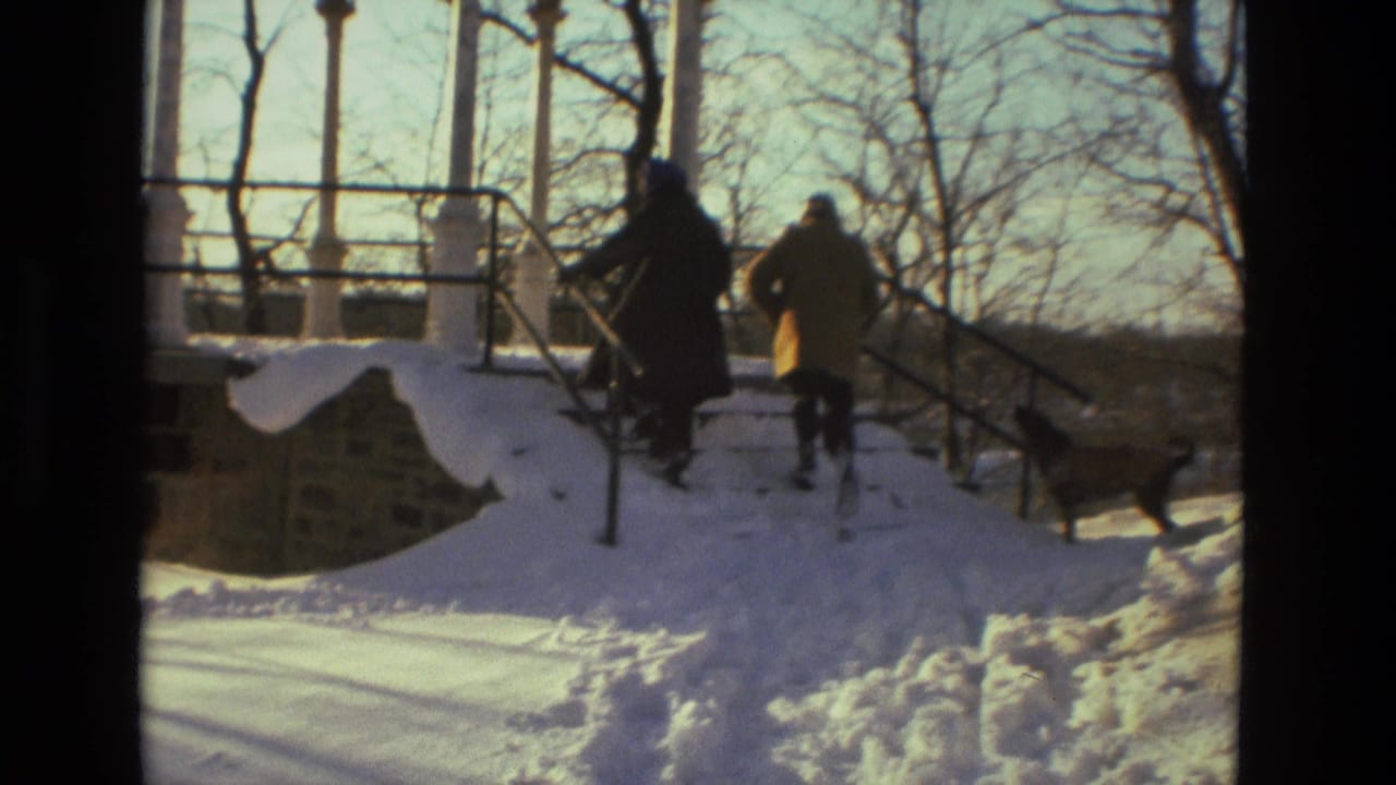 Two bundled people and a dog climb snowy stairs beside a gazebo.