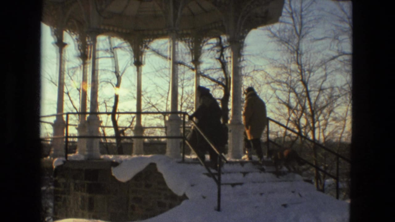 Two people and a dog walk along snowy stairs beside a white gazebo.