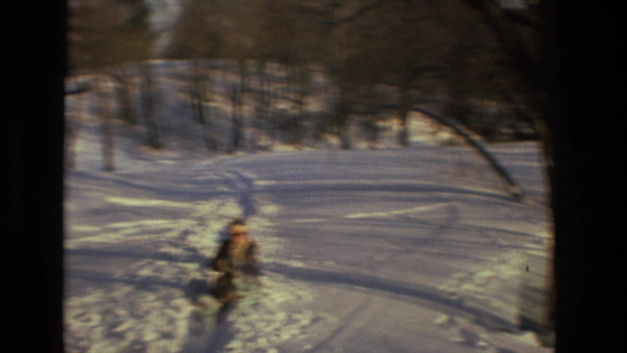 Person on a sled descending a snowy hill between bare trees.
