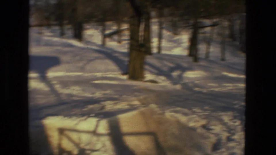 A snow-covered hillside in the same Drexel Hill sledding scene shows tracks, tree shadows, and bare winter trees as the subject moves out of view.