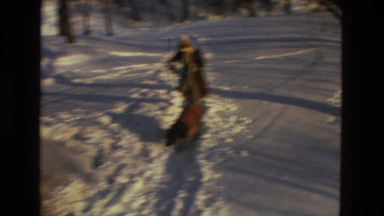 Child and dog move through deep snow on a narrow track in the woods.