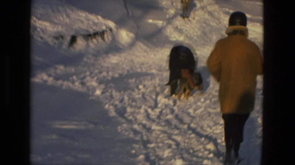 Two people in winter coats stand near a small dog in the snow, with one person bending down on the packed path.