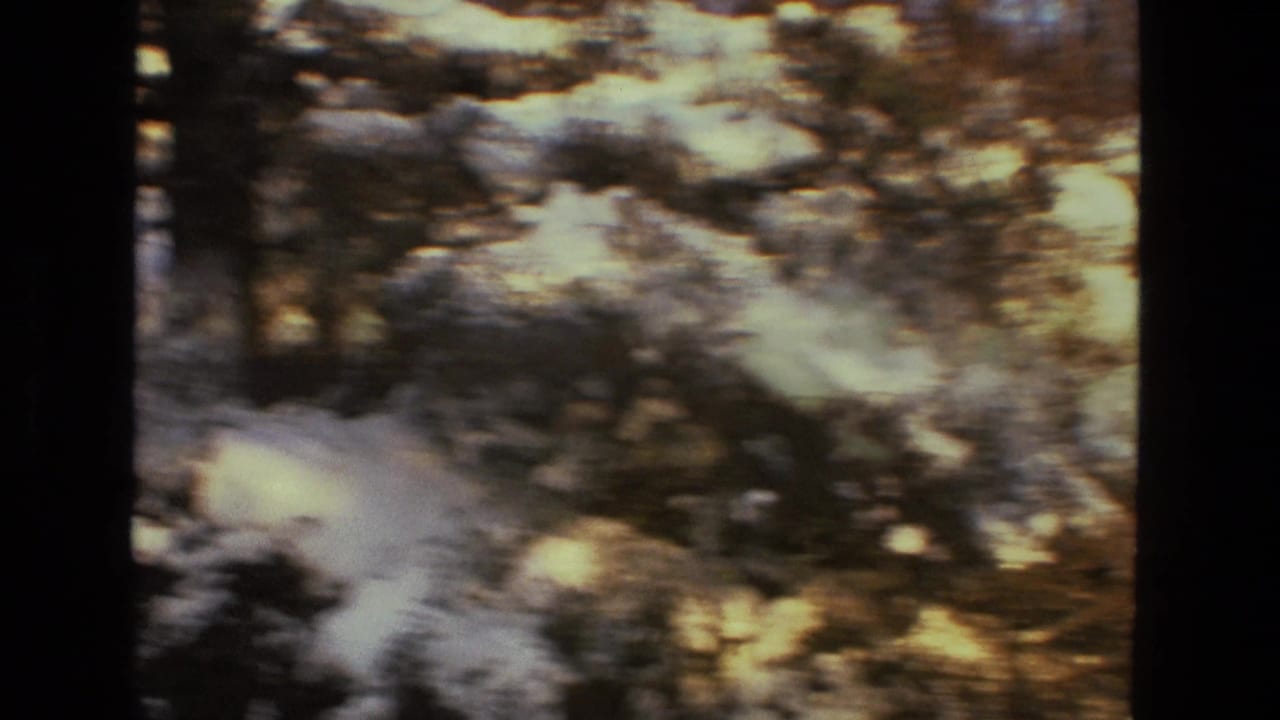 Soft, motion-blurred 1978 8mm view of snow and trees in a winter woodland, supplied as Drexel Hill, Pennsylvania.