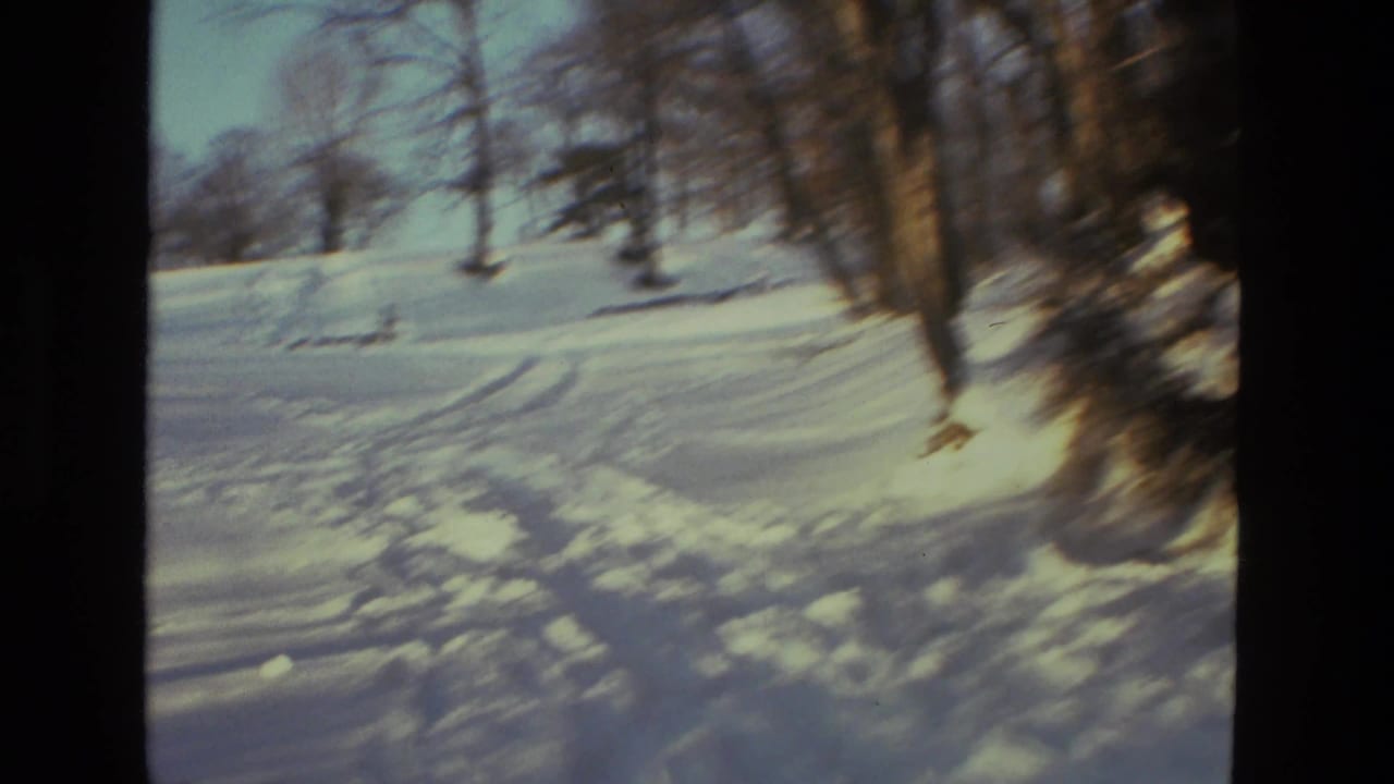Snow-covered woodland path or tracks among bare trees, from 1978 8mm home-movie footage identified as Drexel Hill, Pennsylvania.