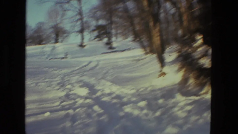 Snow-covered woodland path or tracks among bare trees, from 1978 8mm home-movie footage identified as Drexel Hill, Pennsylvania.