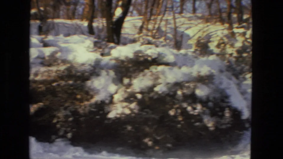 Snow rests on rocks, low brush, and bare trees in a wooded winter scene from 1978 Drexel Hill home-movie footage.