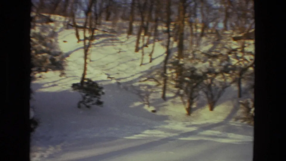 A quiet snow-covered woodland with bare trees and long shadows, from 1978 8mm footage identified as Drexel Hill, Pennsylvania.