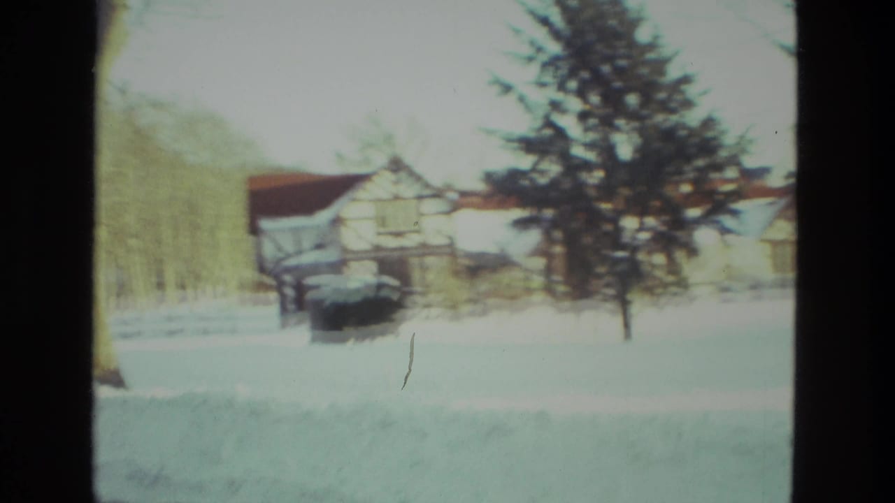 Snowy Tudor-style house with evergreen tree and a parked car nearby.