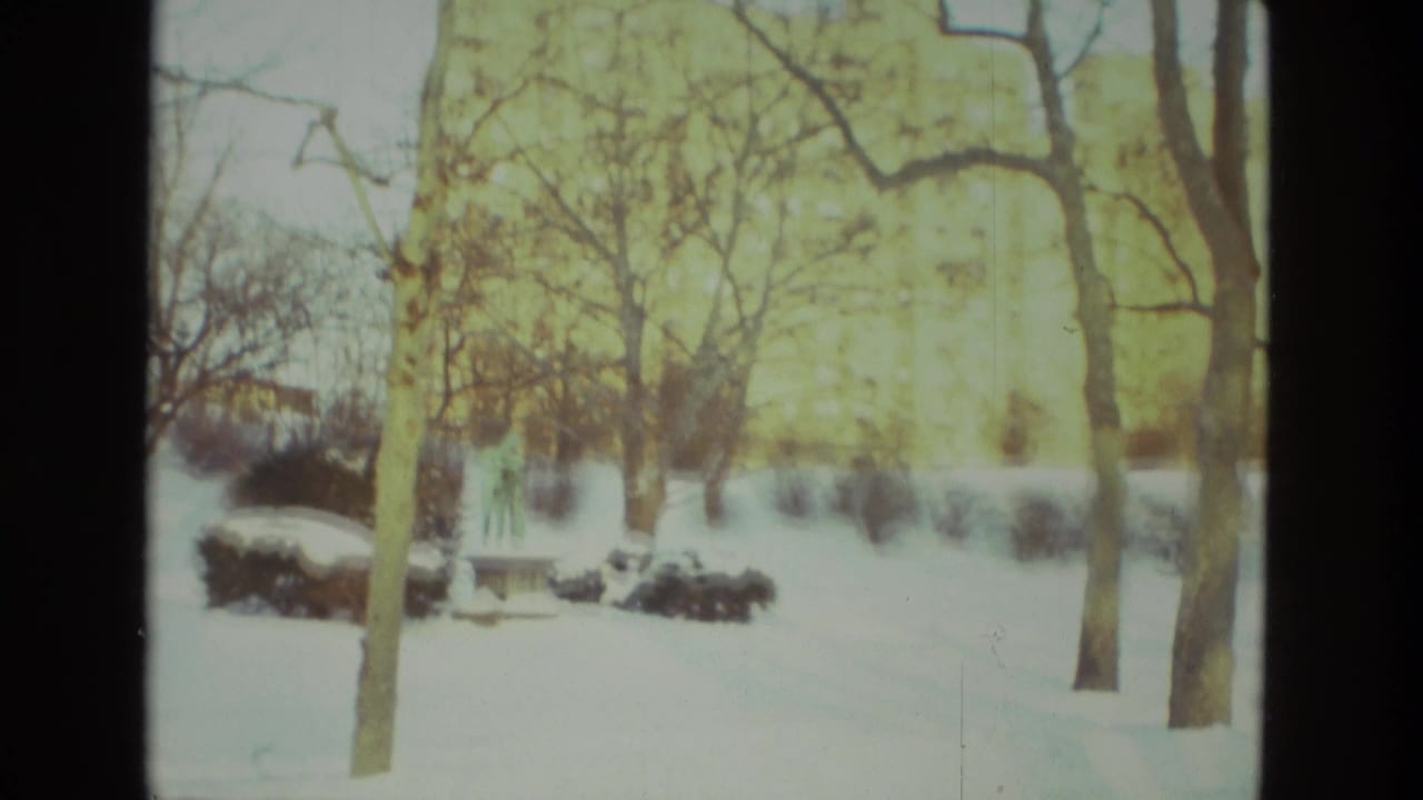 Snow-covered park with bare trees, shrubs, and a small statue or marker at left.