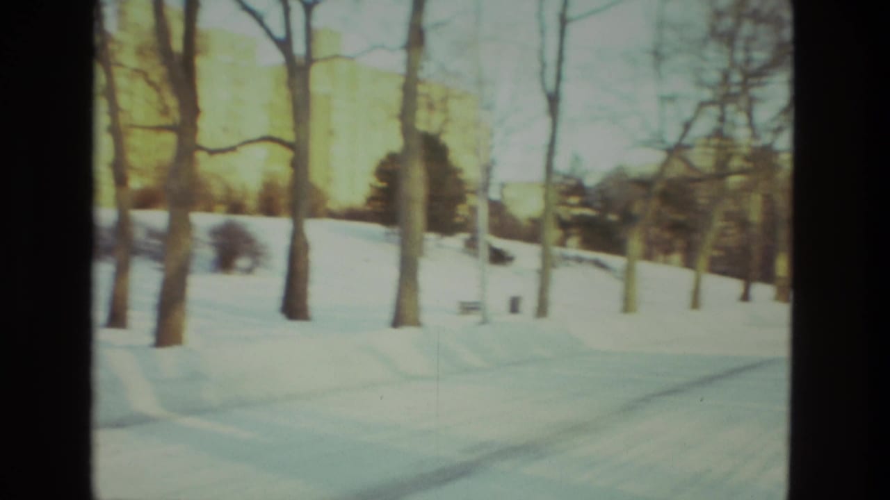 Snowy park slope with bare trees, a path or track, and a distant marker or sign.