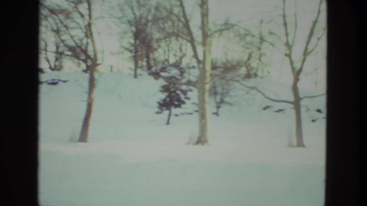 Snow-covered slope with bare trees and dark patches in the snow.