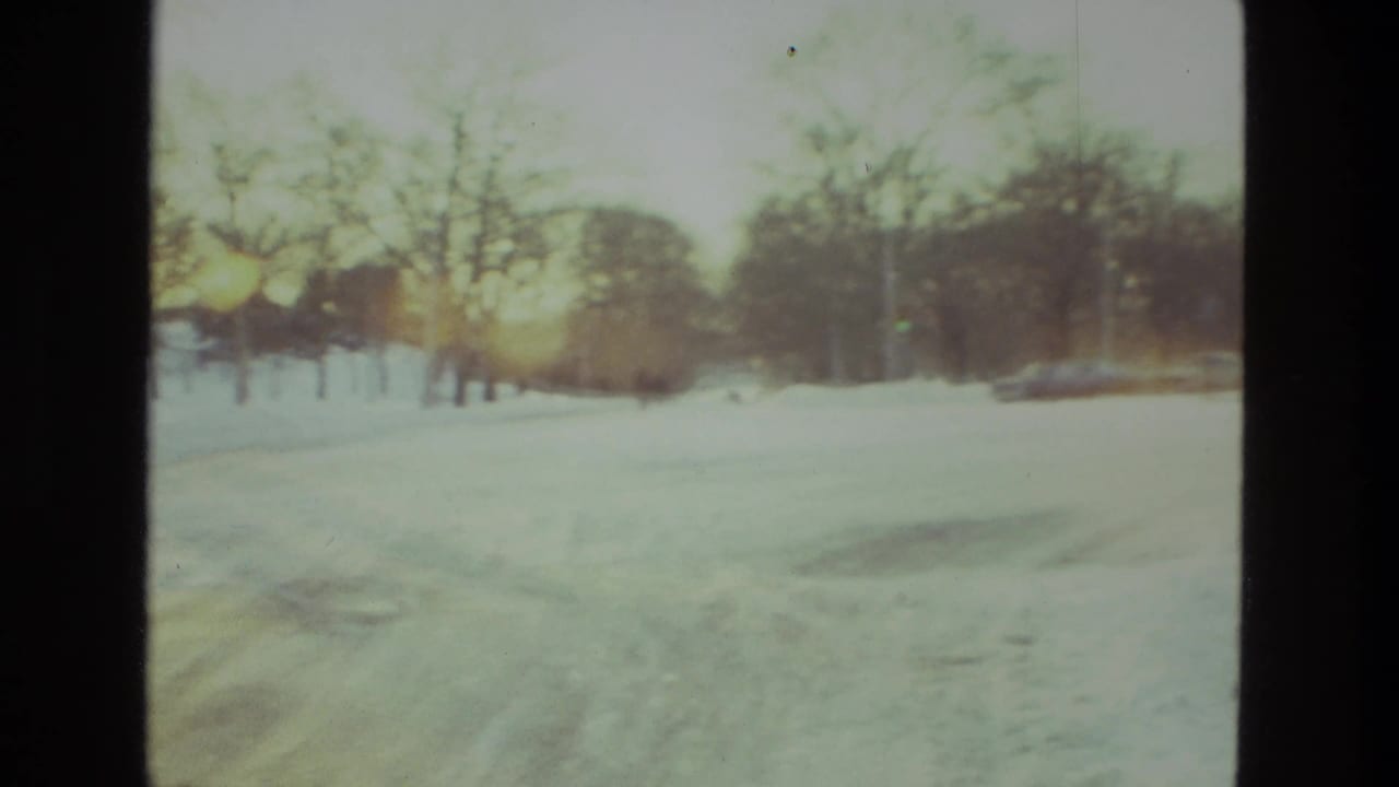 Snowy road or open area bordered by bare trees in winter light.